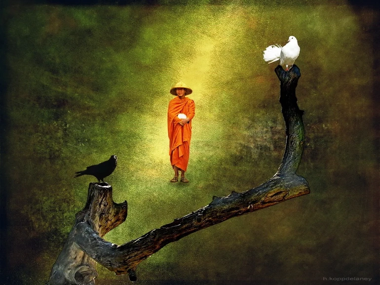 Đi về đâu là do mình